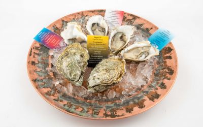 Selezione di Ostriche